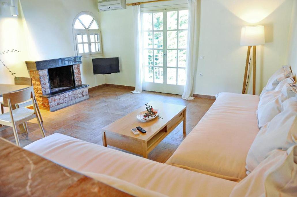 Villa Kastri Apartments Vasiliki  Exterior photo